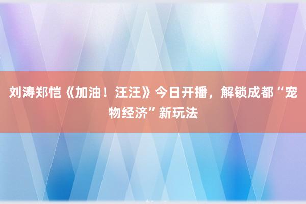 刘涛郑恺《加油！汪汪》今日开播，解锁成都“宠物经济”新玩法