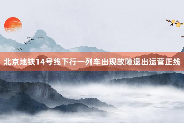 北京地铁14号线下行一列车出现故障退出运营正线
