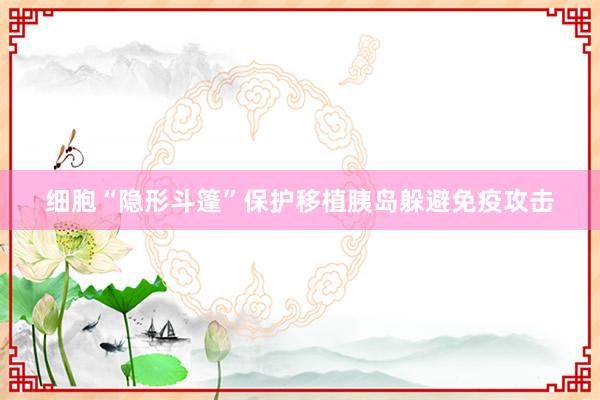 细胞“隐形斗篷”保护移植胰岛躲避免疫攻击