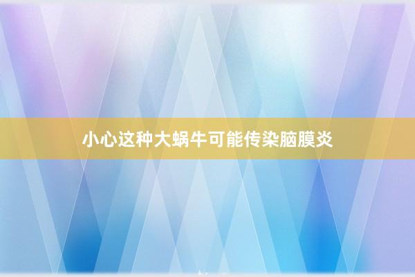 小心这种大蜗牛可能传染脑膜炎