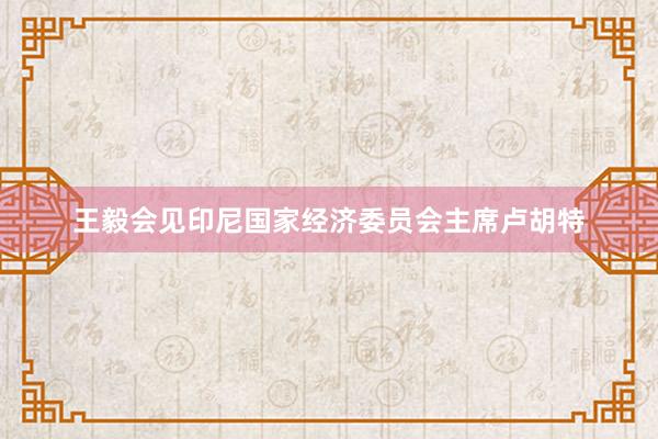 王毅会见印尼国家经济委员会主席卢胡特