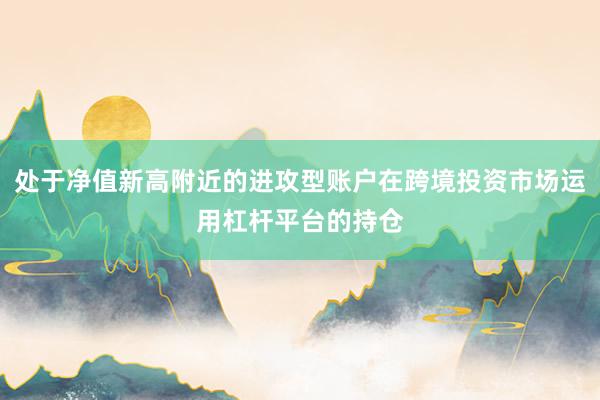 处于净值新高附近的进攻型账户在跨境投资市场运用杠杆平台的持仓