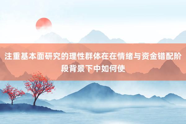 注重基本面研究的理性群体在在情绪与资金错配阶段背景下中如何使