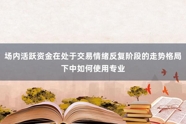 场内活跃资金在处于交易情绪反复阶段的走势格局下中如何使用专业