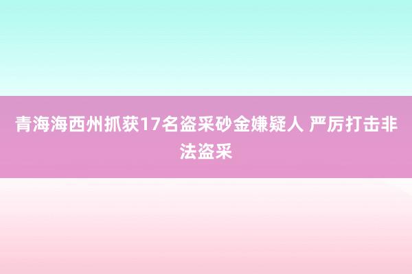 青海海西州抓获17名盗采砂金嫌疑人 严厉打击非法盗采