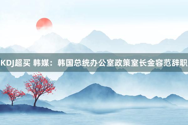 KDJ超买 韩媒：韩国总统办公室政策室长金容范辞职