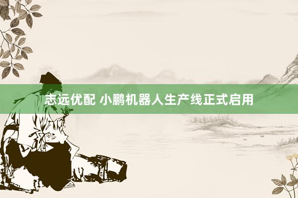 志远优配 小鹏机器人生产线正式启用