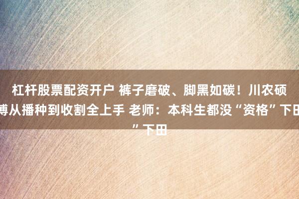 杠杆股票配资开户 裤子磨破、脚黑如碳！川农硕博从播种到收割全上手 老师：本科生都没“资格”下田