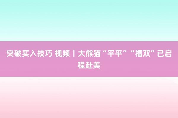突破买入技巧 视频丨大熊猫“平平”“福双”已启程赴美