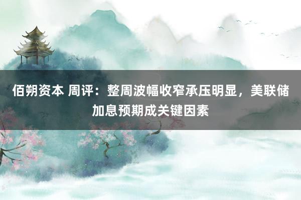 佰朔资本 周评：整周波幅收窄承压明显，美联储加息预期成关键因素