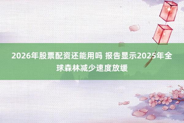 2026年股票配资还能用吗 报告显示2025年全球森林减少速度放缓